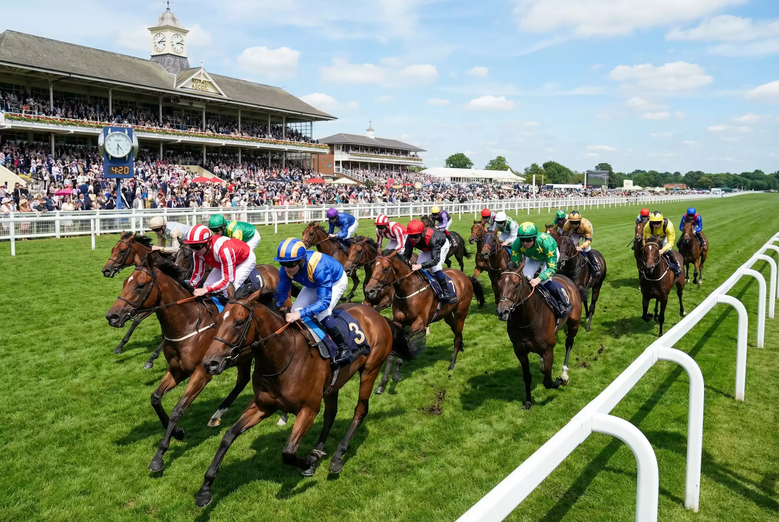 Large field of horses thundering down the straight at Royal Ascot