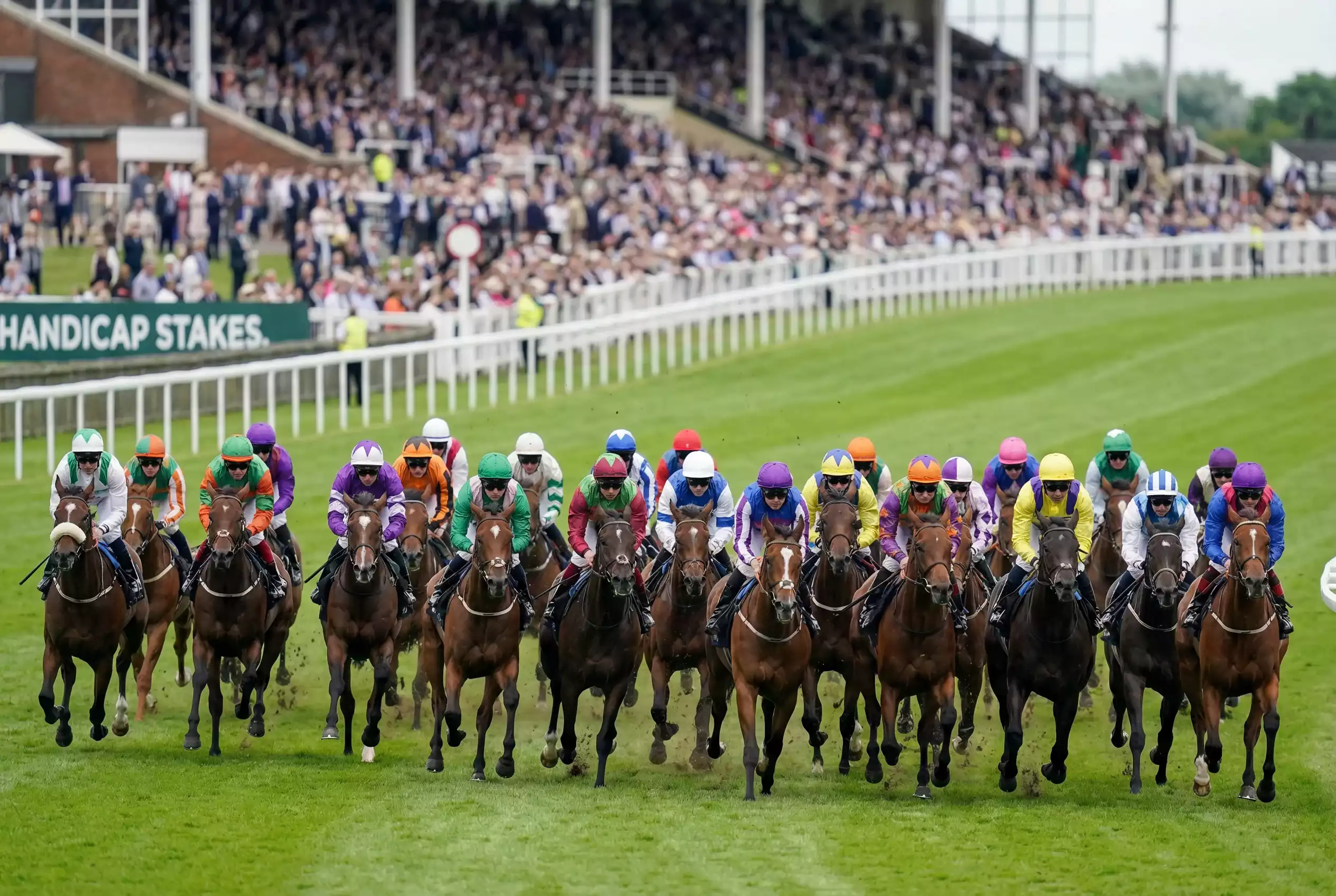 Large field of horses racing closely together in British handicap race