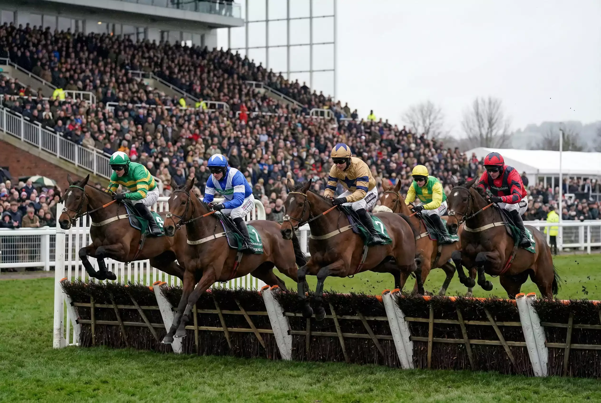 Five horses jumping a hurdle together at Cheltenham Festival
