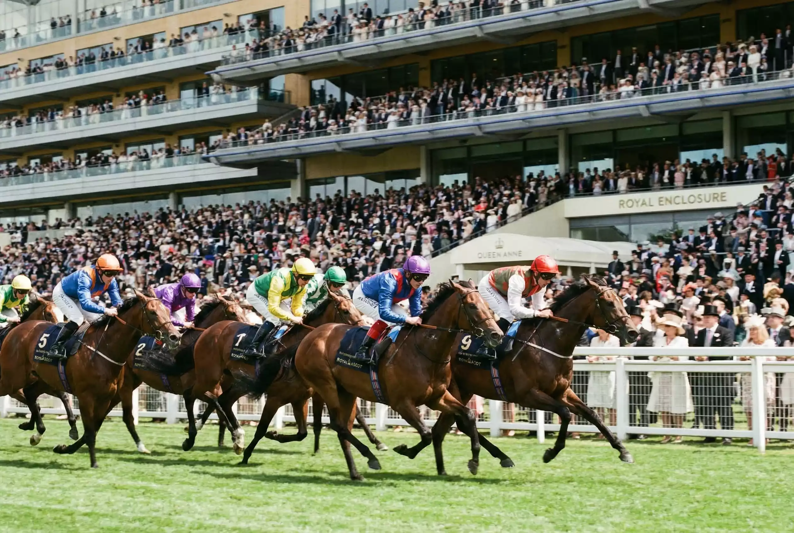 Flat racing horses charging down Royal Ascot straight course in June sunshine