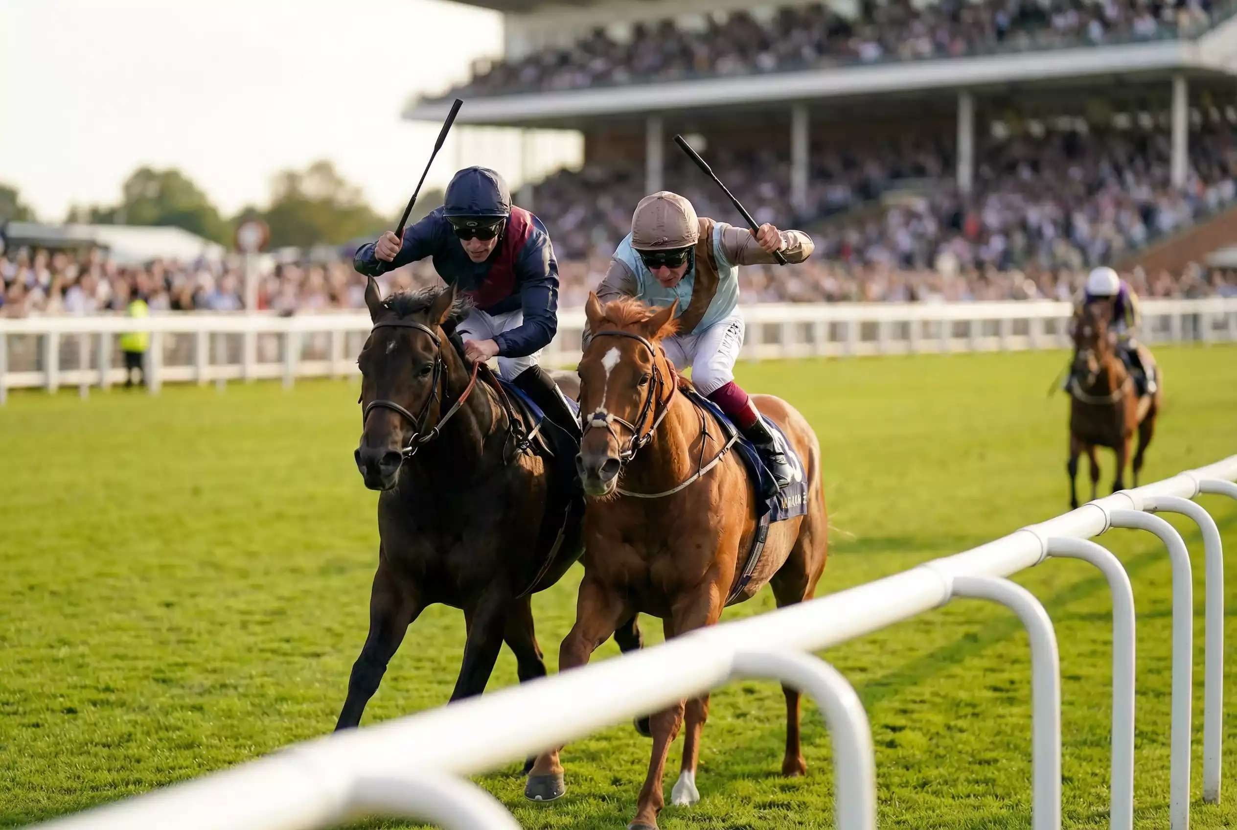 Two horses finishing close together in the placing positions at a UK handicap race
