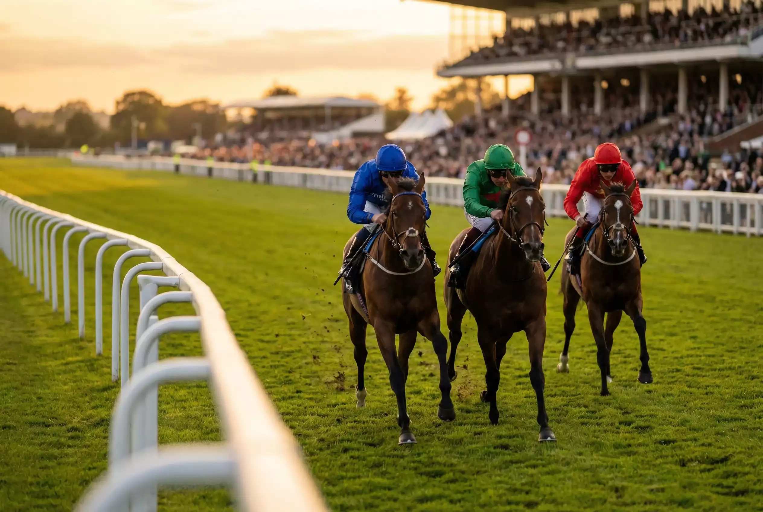 Thoroughbred horses racing at British racecourse with jockeys in colourful silks